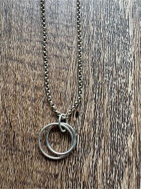 Sterling Silver Interlocking Circle Necklace - Silver